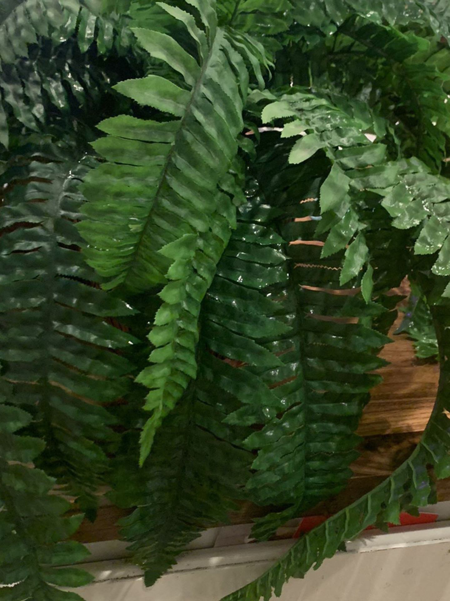 Large Fake Fern Plant