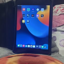 iPad Mini 4 