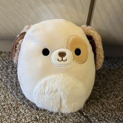 Squishmallow 