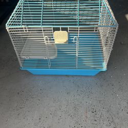Bird Cages