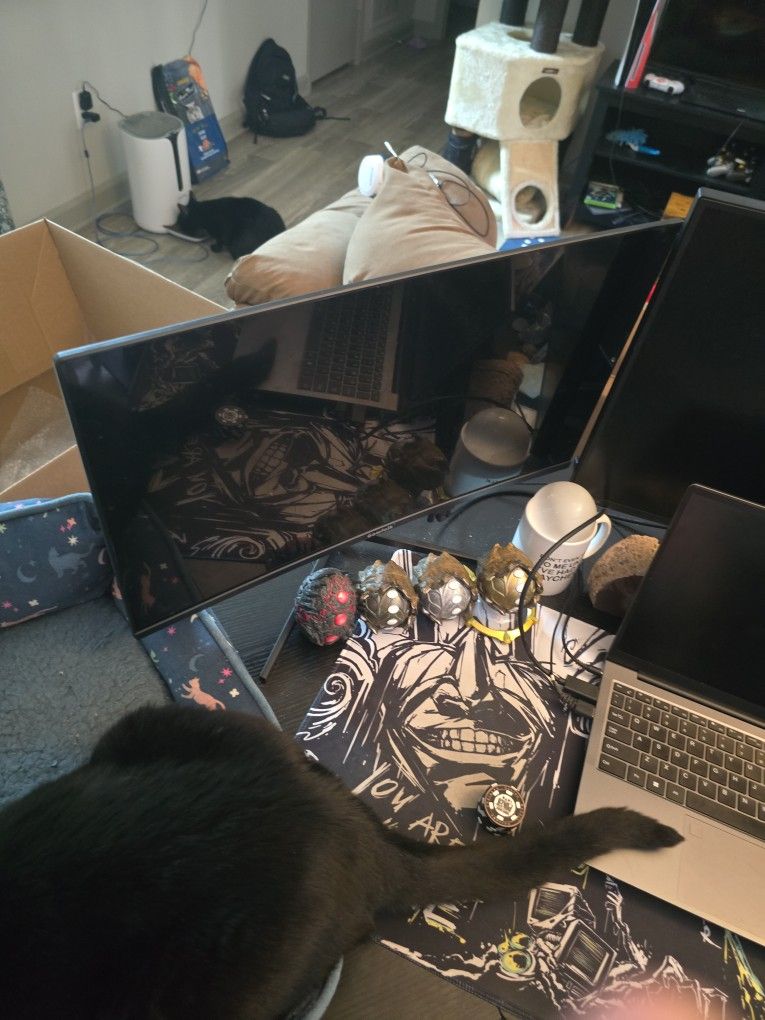 Use able But Broken Monitor