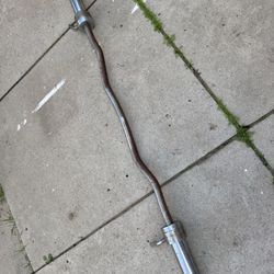 Olympic Curl Bar 