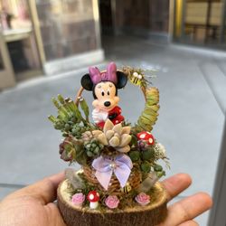 Minnie Mouse Succulent Basket