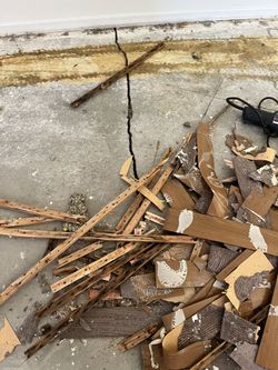 Floor