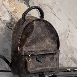 Louis Vuitton backpack