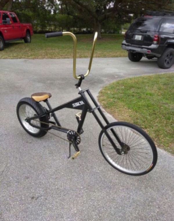 schwinn big tire bike