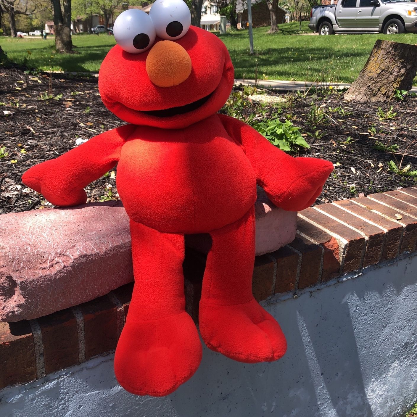 Elmo