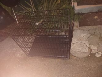 Dog Kennel