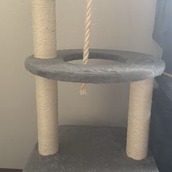 Cat Trees