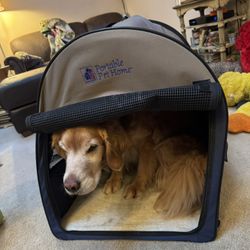 Collapsible Dog Crate