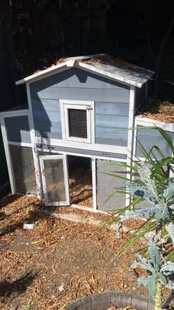 Chicken coop