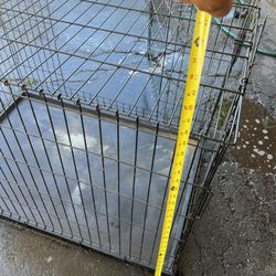 Cage