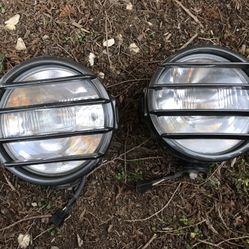 Piaa Lights