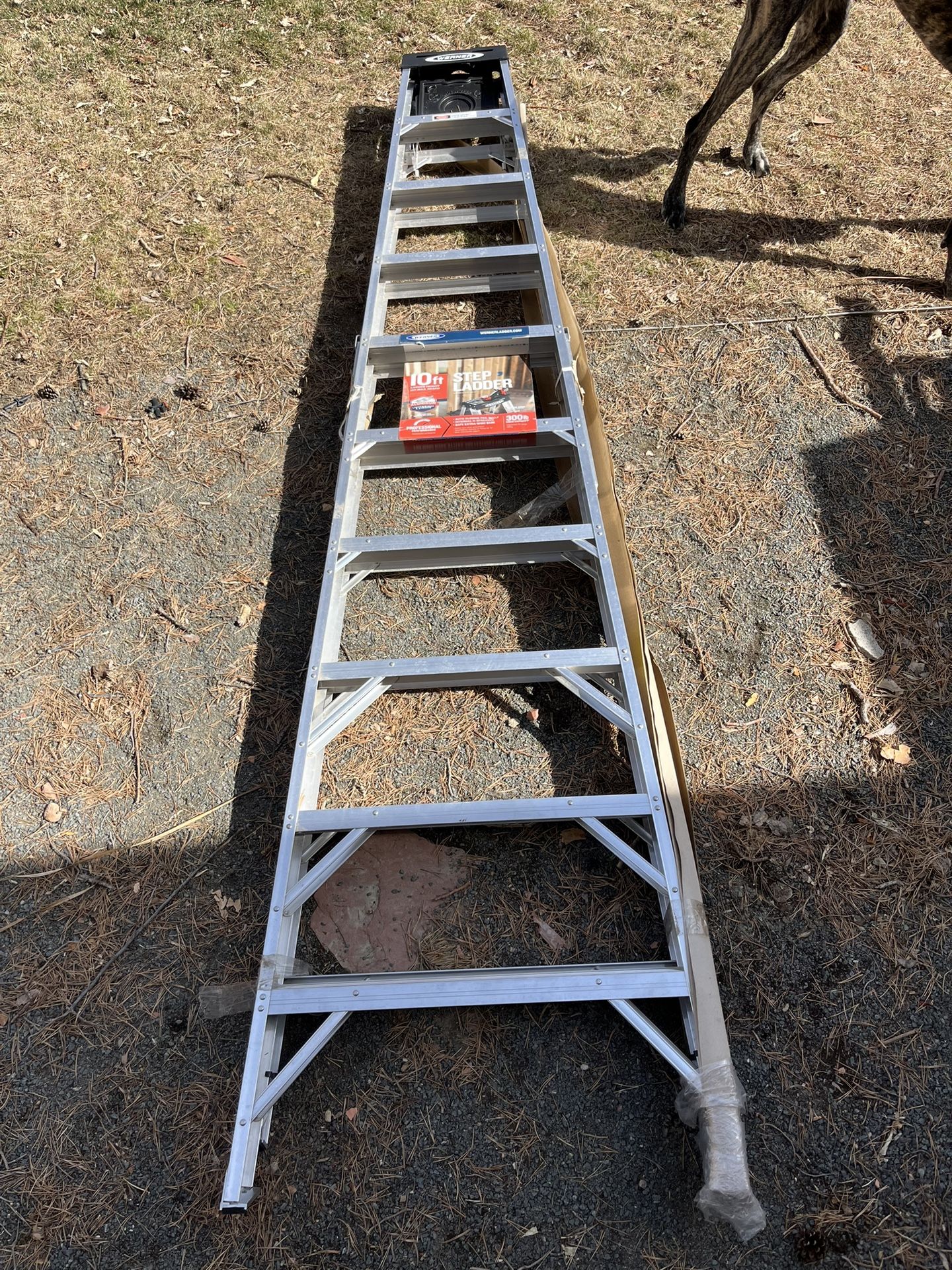 10Ft New Werner Ladder