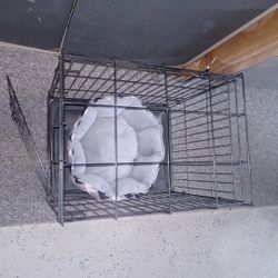 Small Dog Crate With Bed 
