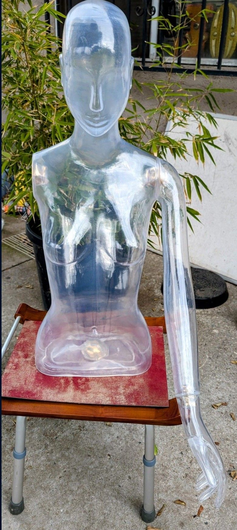 Schlappi Female Clear Mannequin Torso w/Head (33" x 12") + Left Arm/Hand.