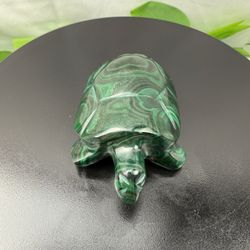 Rare Crystal Malachite Turtle