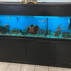 120 Gallon Fish Tank