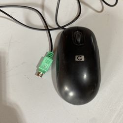 Computer Mouse