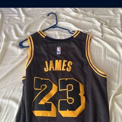 lebron james jersey adult 