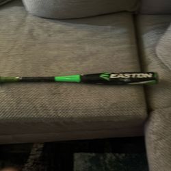 Baseball Bat