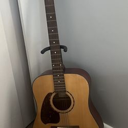 Ibanez Acoustic Guitar 