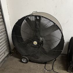 Shop Fan
