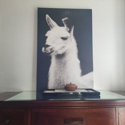 Framed Artwork Black & White Photo Of Llama