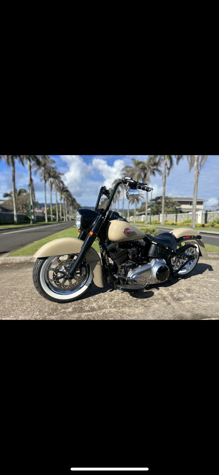2017 Harley Davidson Softail