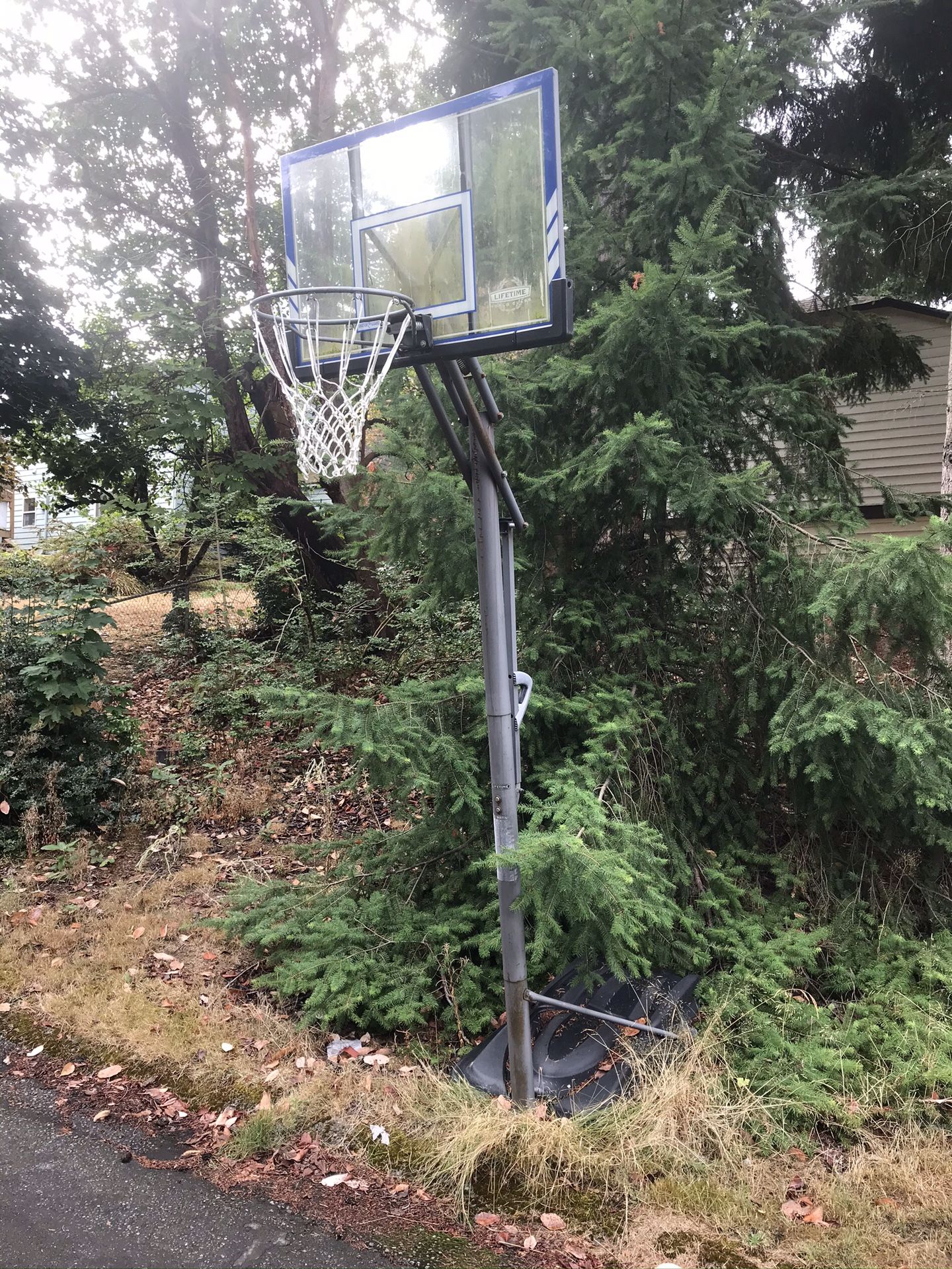 basketball hoop