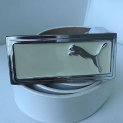 Puma belt