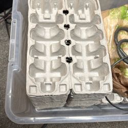 Beer Shipping Cartons