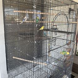 Cage For Sale (OBO )