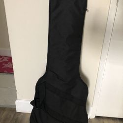 Electric ⚡️ Guitar And Bag Protector 