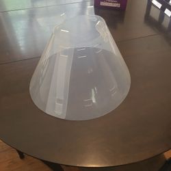 Dog Cone 