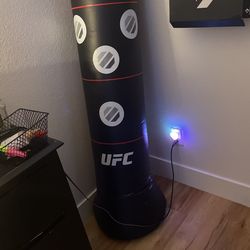 Ufc punching water bag