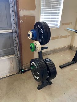 297.5 lbs Rogue Echo Bumper Plates + Change Plates