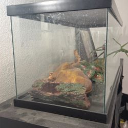 Reptile Aquarium