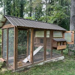 Chicken Coop