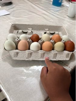 Organic eggs