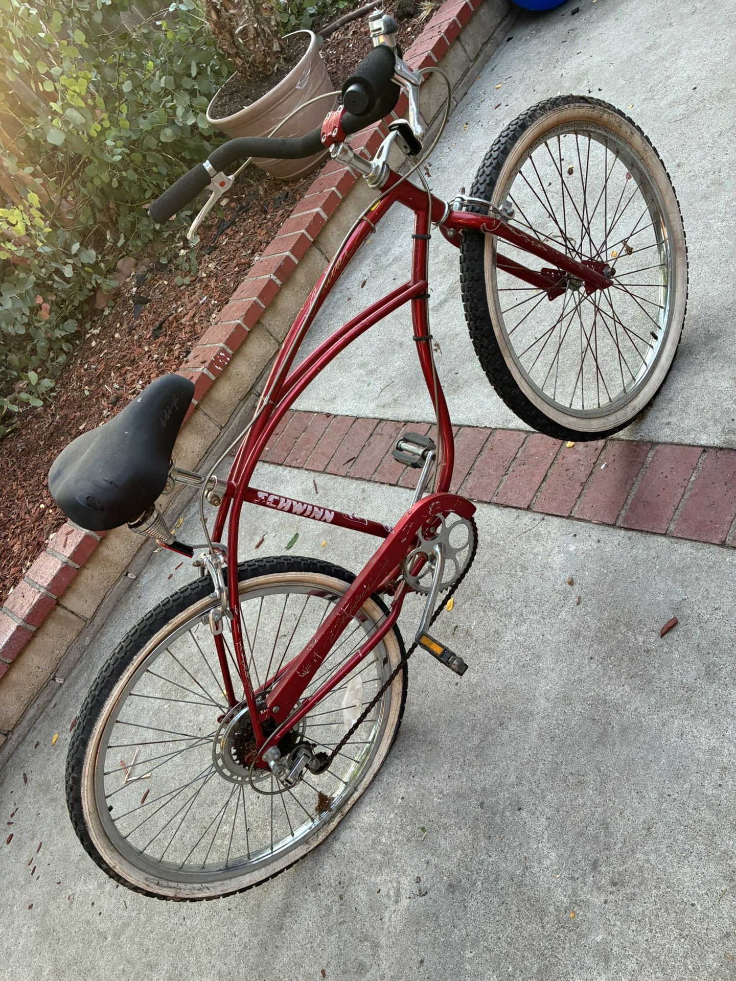 Schwinn Cruiser Speed 1980s