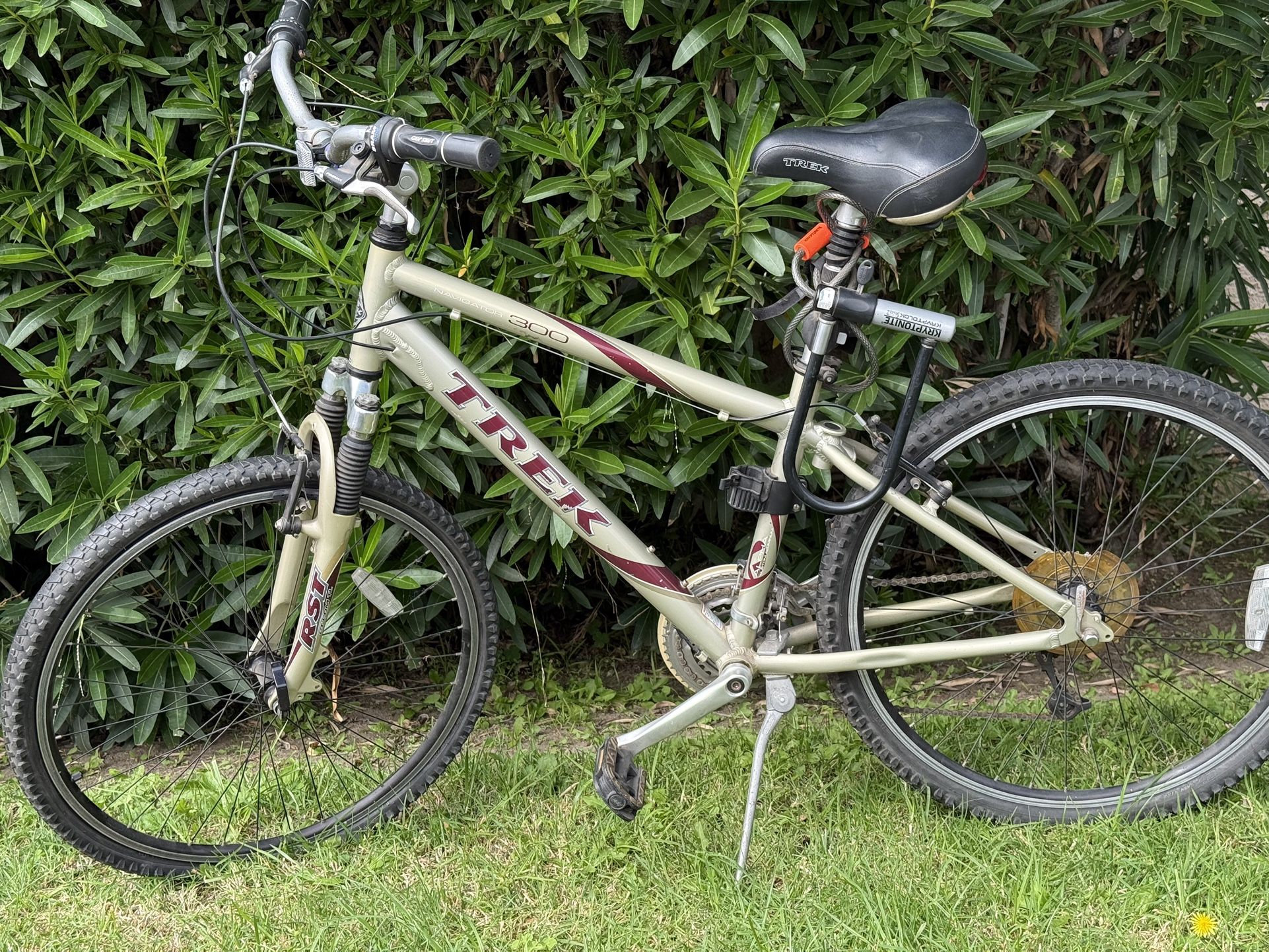 Trek Navigator 300 Hybrid