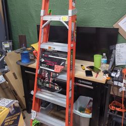 Louisville Ladder
Cross Step 6 ft. Fiberglass Leaning Step Ladder (10 ft. Reach), 300 lbs. Load Capacity, Type IA Duty Rating