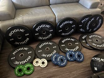 ROGUE ECHO BUMPER WEIGHTS (NEW OUT THE BOX) WITH CHANGE PLATES