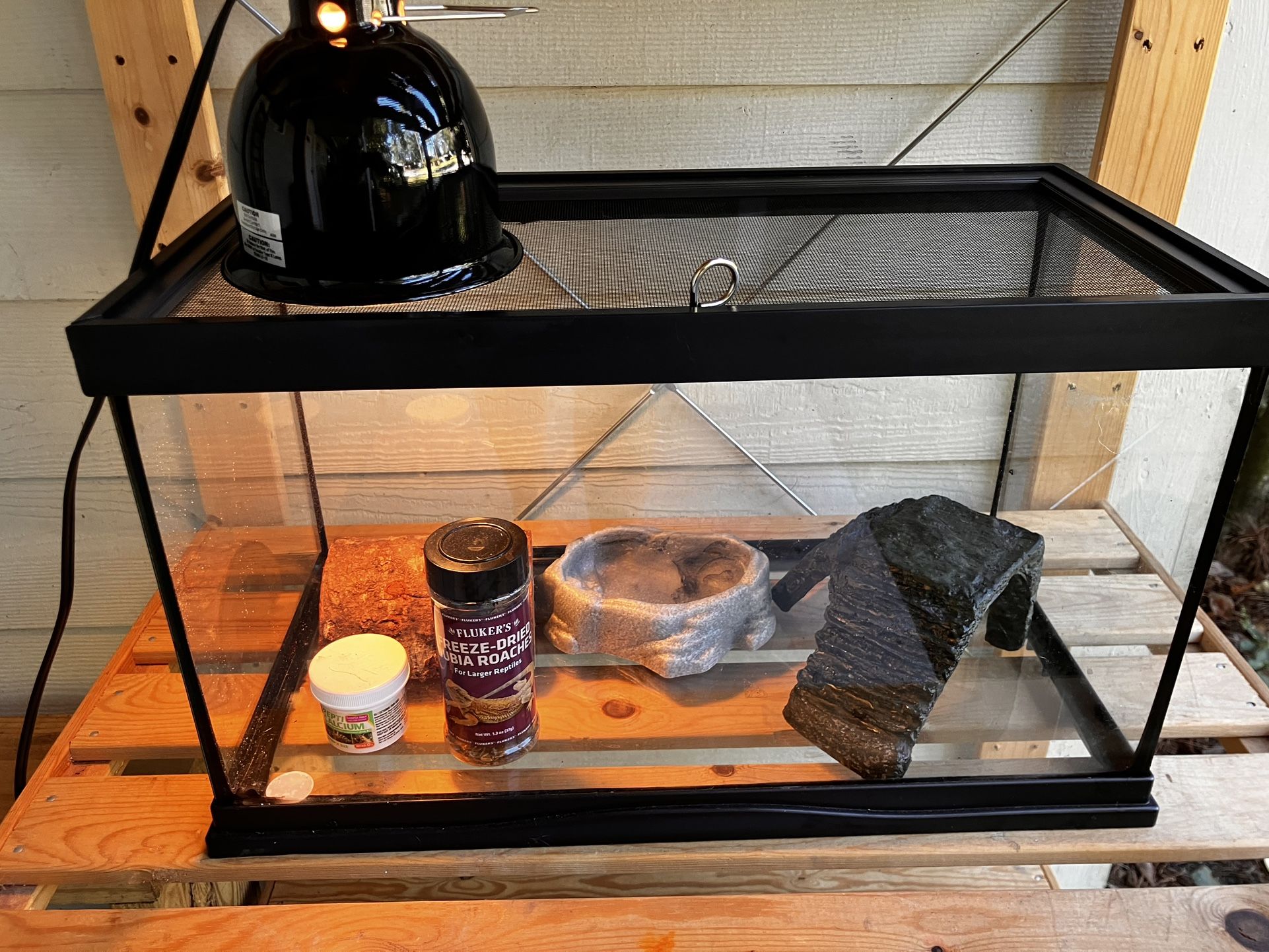 Great Kit For Reptile Lovers.