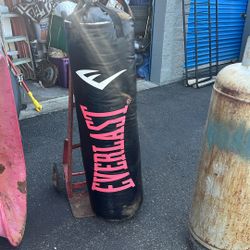 Everlast 100lb Punching Bag 
