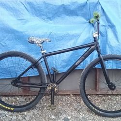 29in Throne  BMX Bike With Steve -O Autograph