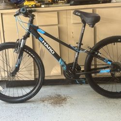 Haro Flightline Mountain/pleasure Bike