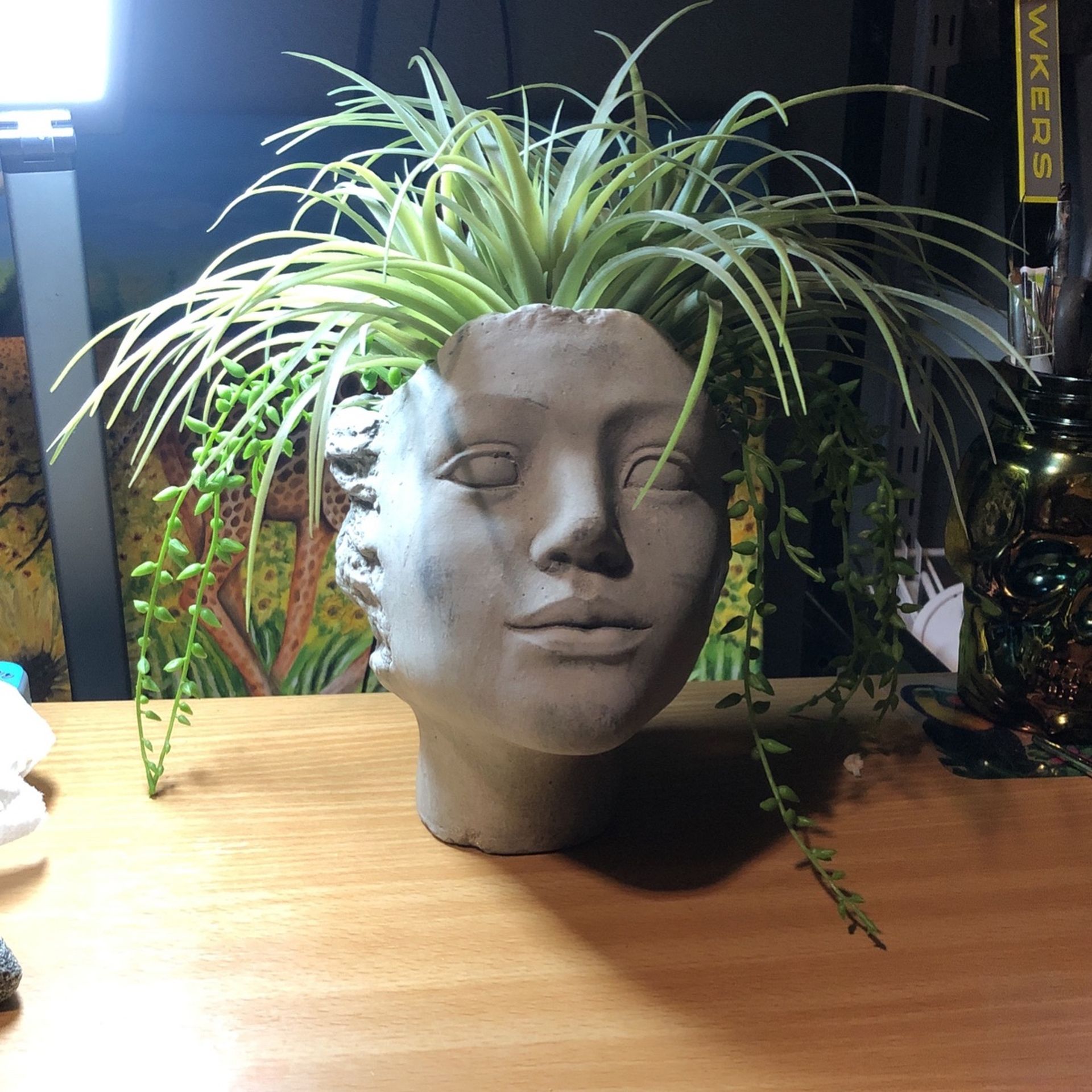 Plant Decoration Vase