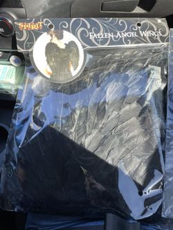 Fallen Angel Costume 